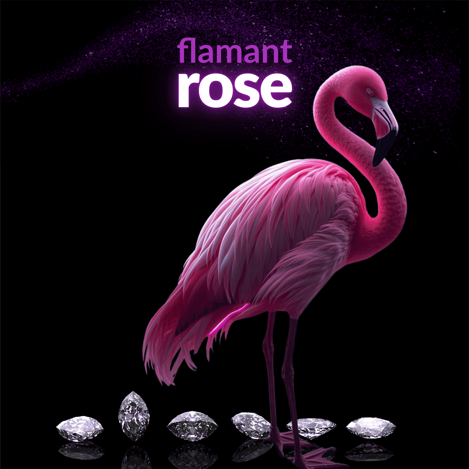 Flamant Rose