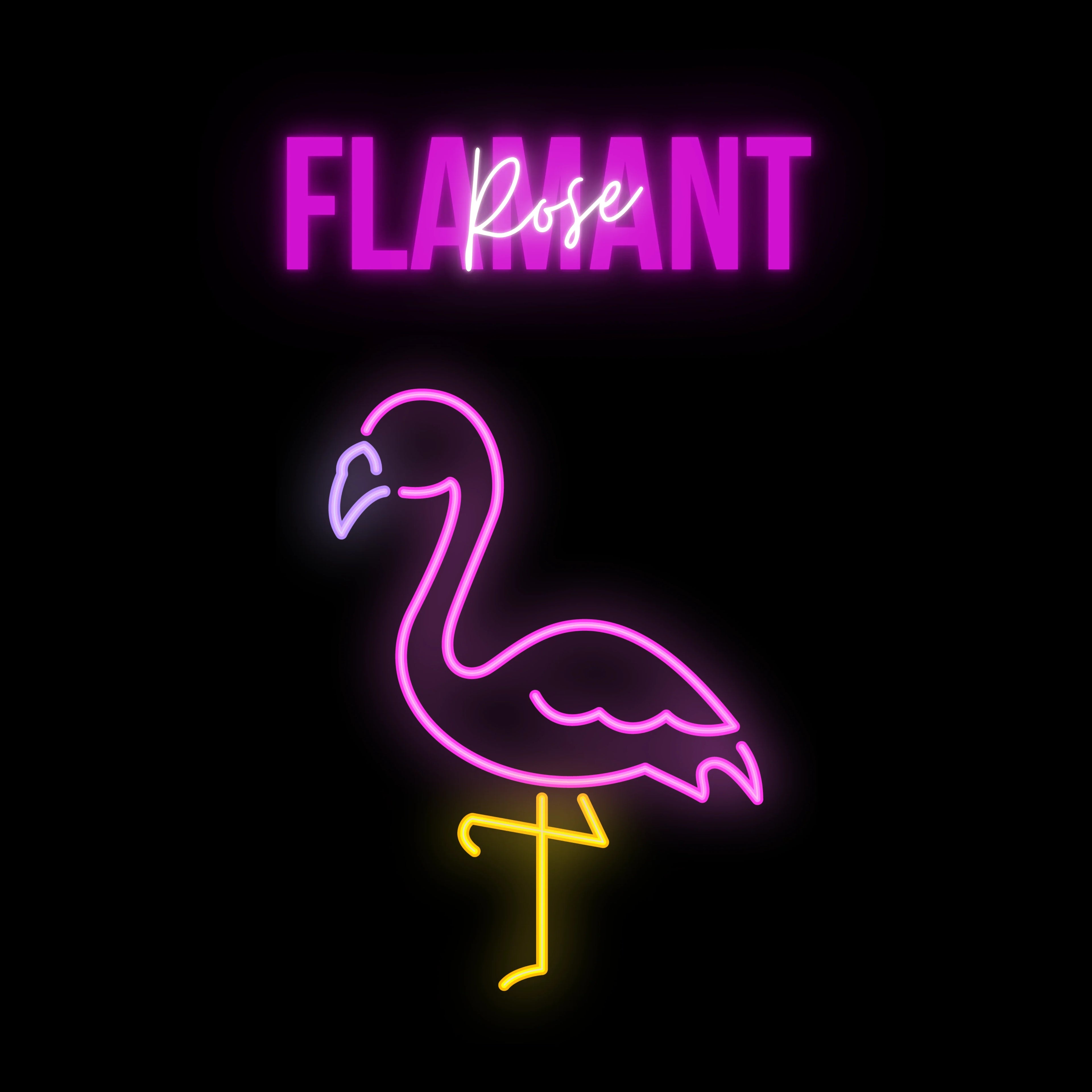 tsgabrielle® • Trans / Women's • Flamant Rose • T-Shirt • Black • 100% Organic Cotton