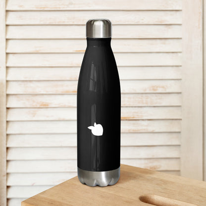 Stainless Steel Water Bottle Black (Paris)