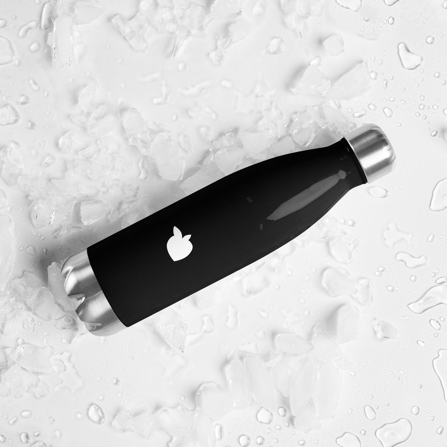 Stainless Steel Water Bottle Black (Paris)