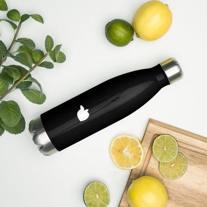 Stainless Steel Water Bottle Black (Paris)