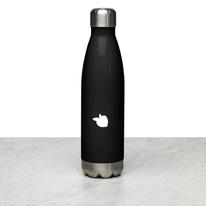 Stainless Steel Water Bottle Black (Paris)