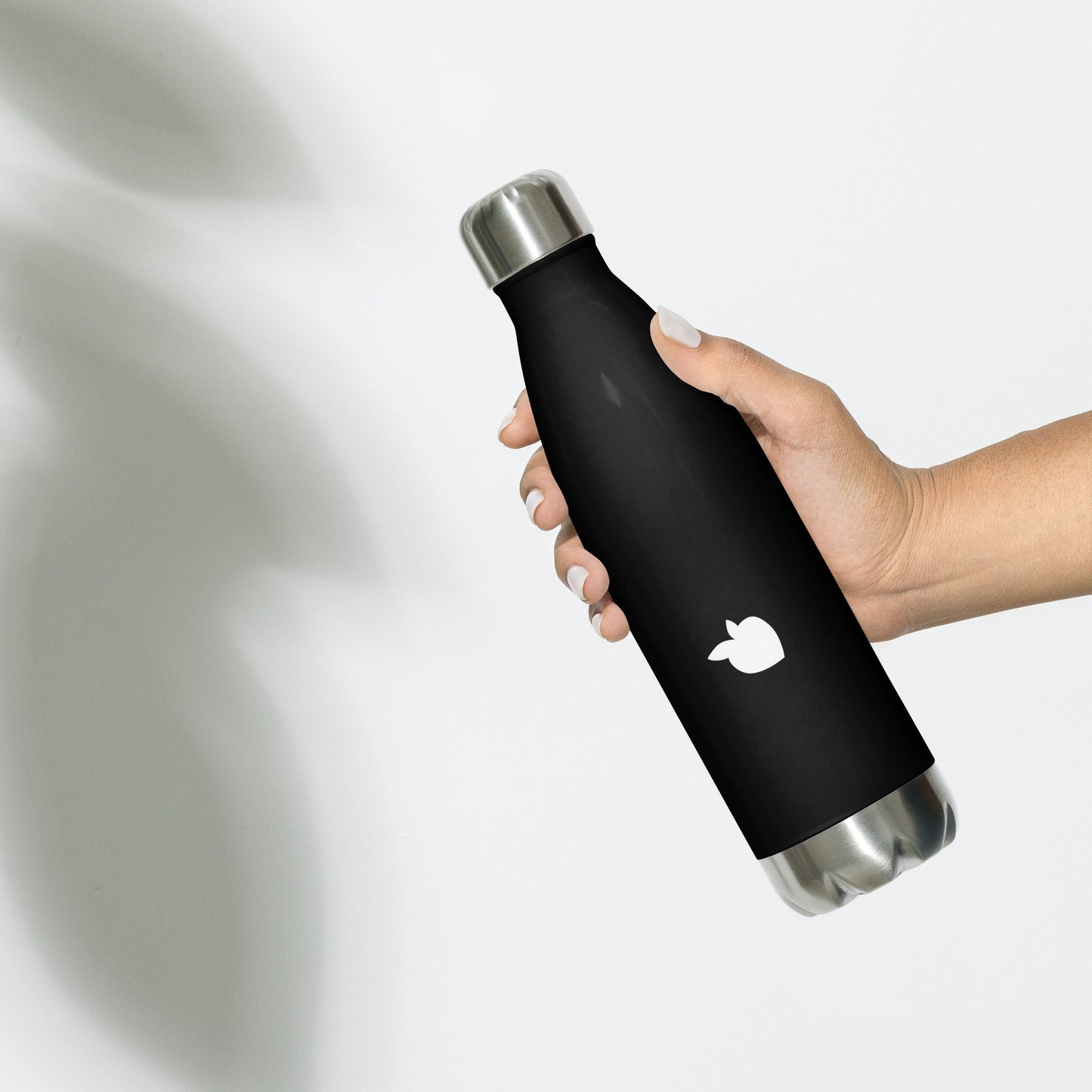 Stainless Steel Water Bottle Black (Paris)