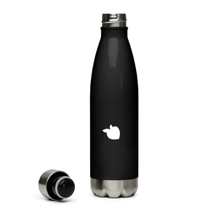 Stainless Steel Water Bottle Black (Paris)