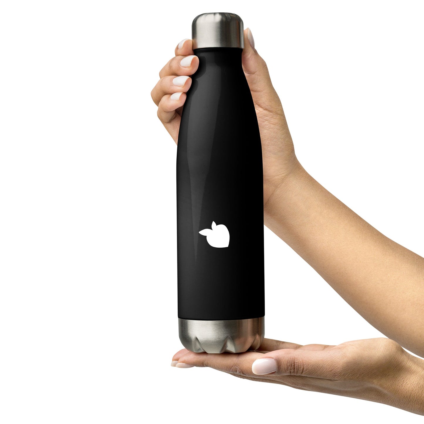 Stainless Steel Water Bottle Black (Paris)