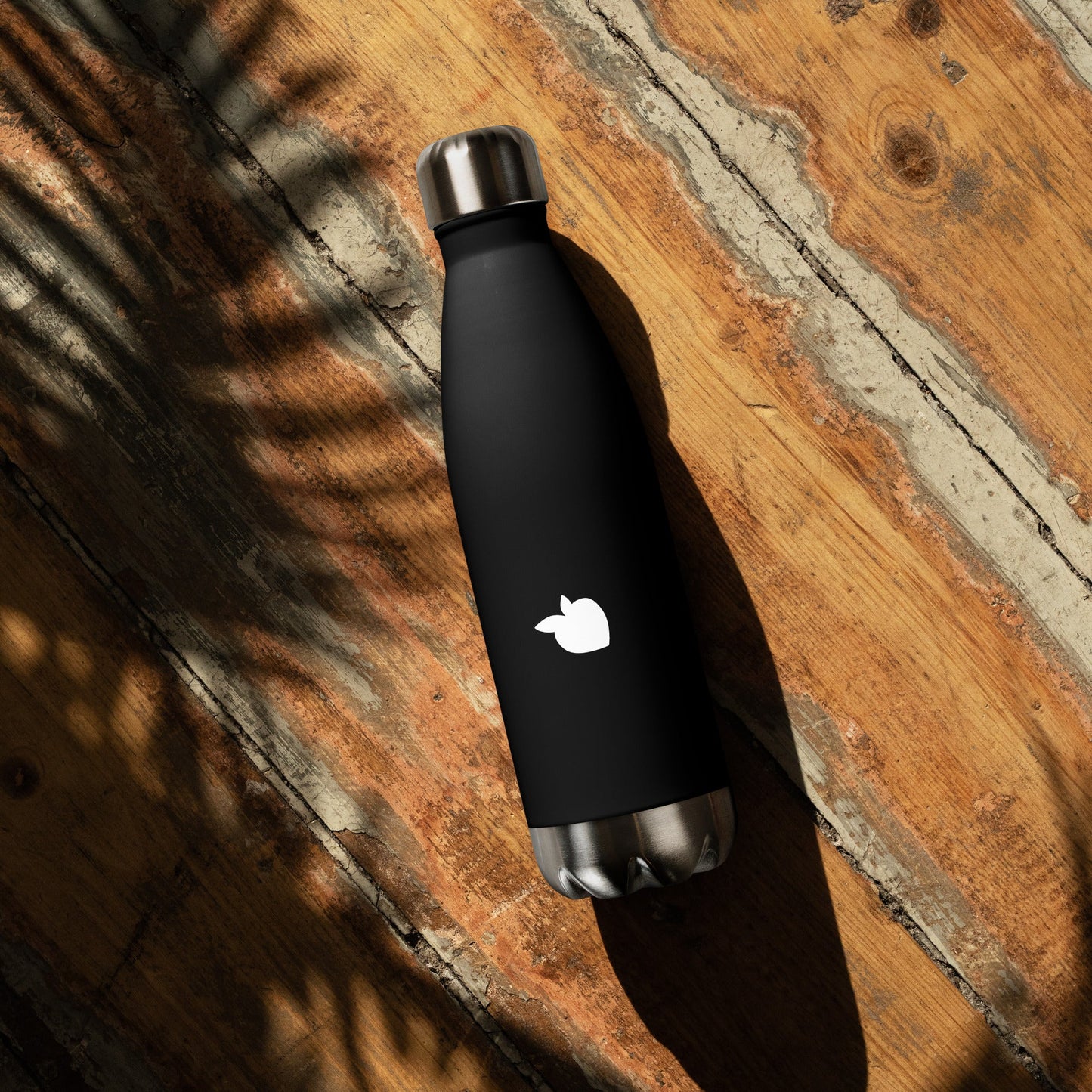 Stainless Steel Water Bottle Black (Paris)