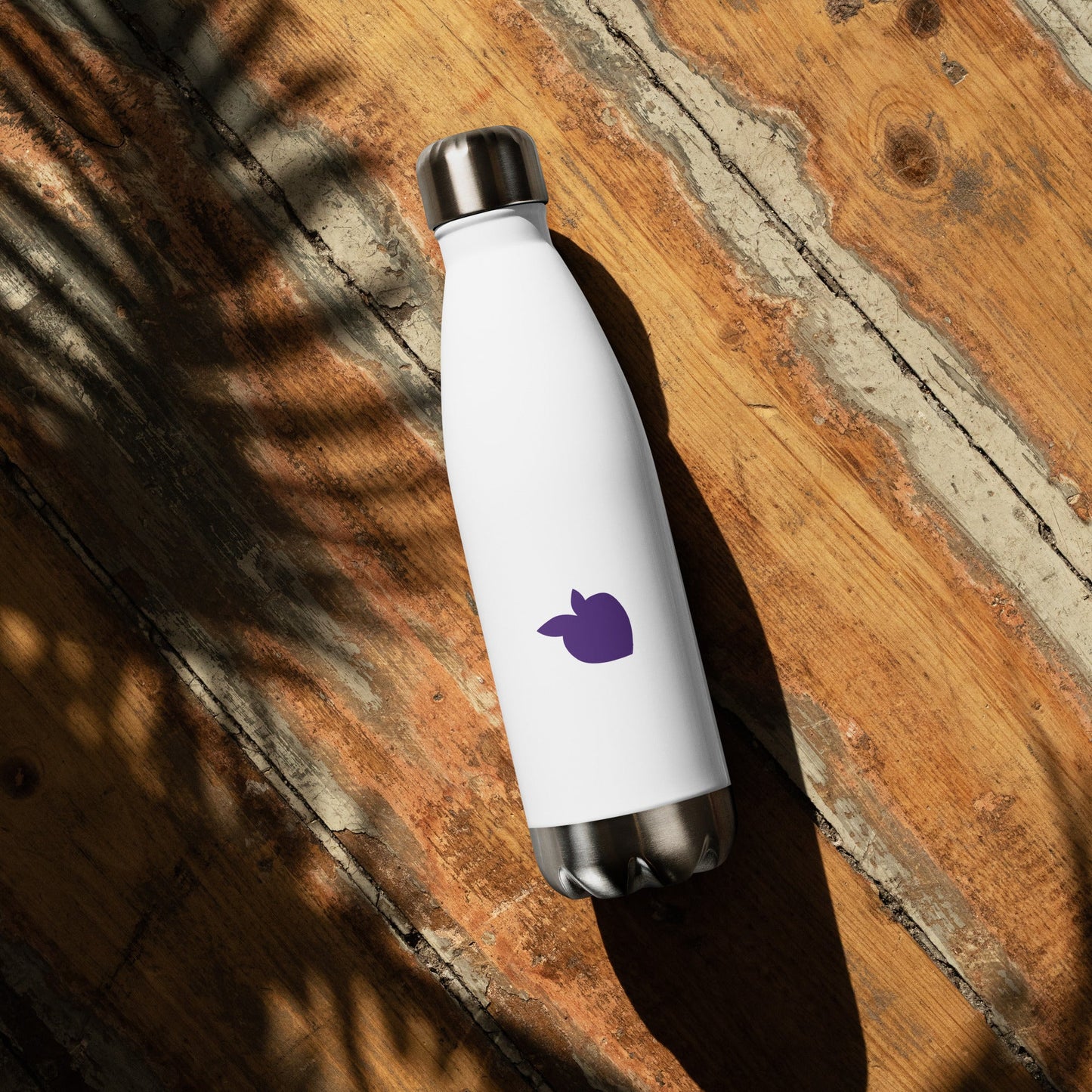 Stainless Steel Water Bottle White (Paris)