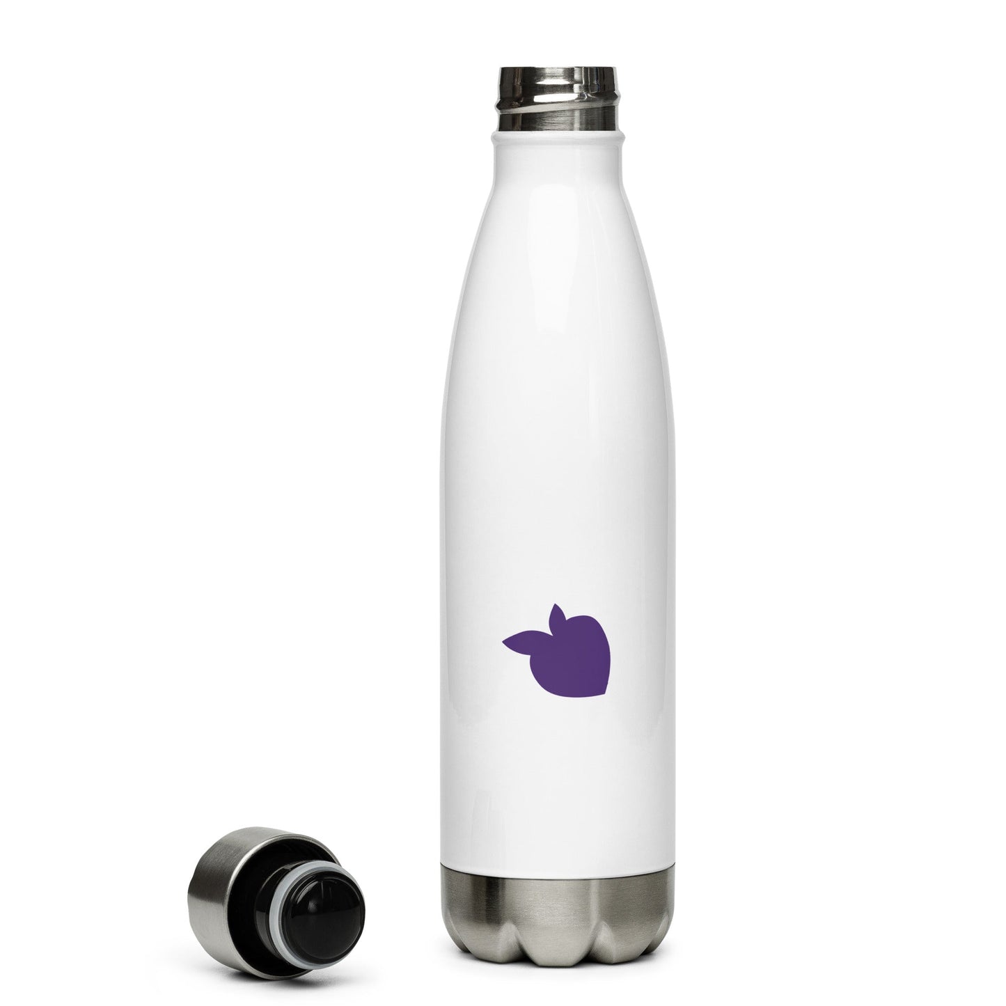 Stainless Steel Water Bottle White (Paris)