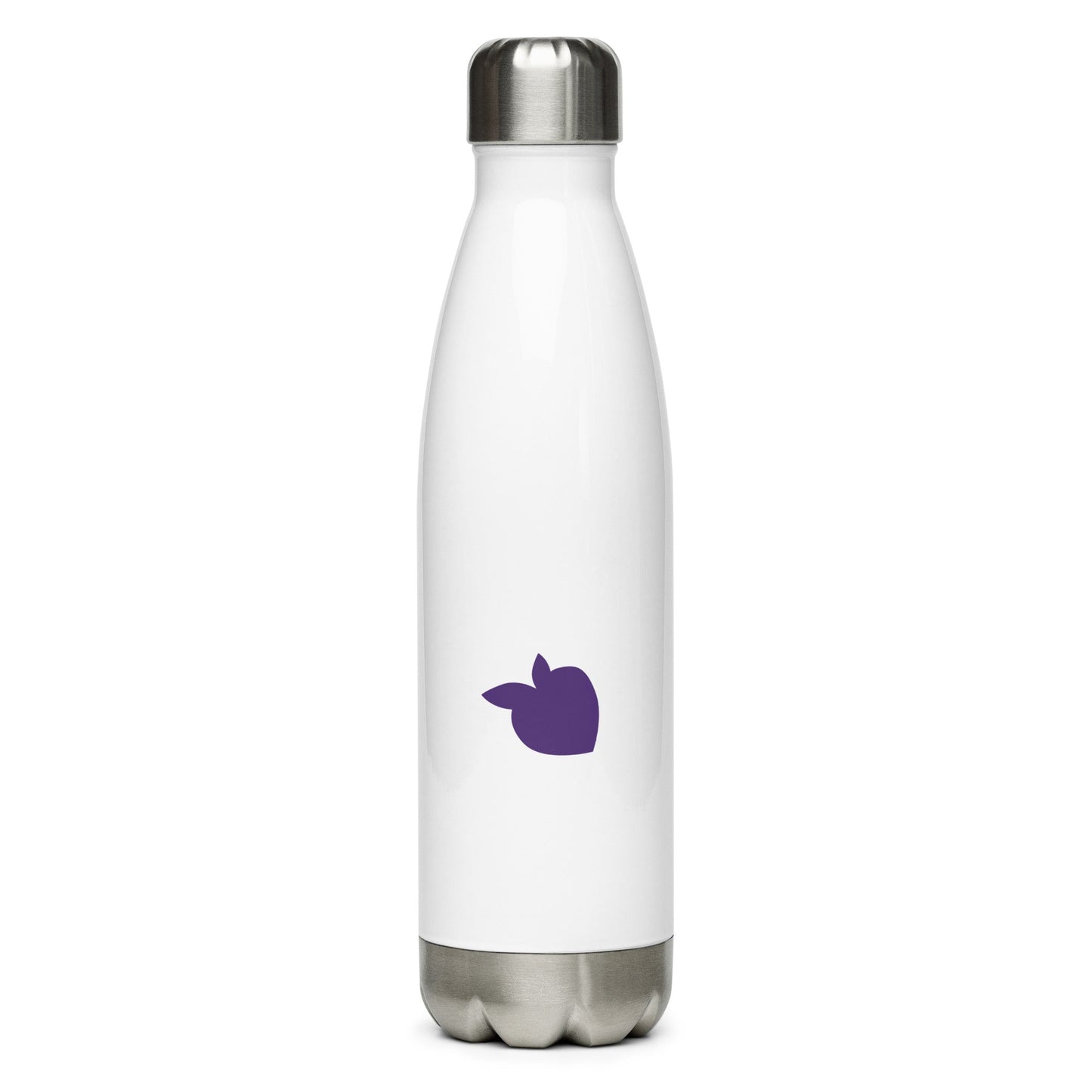 Stainless Steel Water Bottle White (Paris)