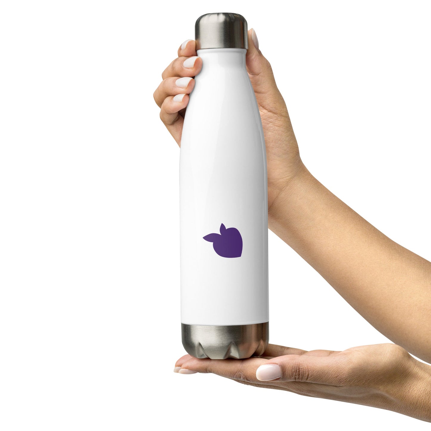 Stainless Steel Water Bottle White (Paris)