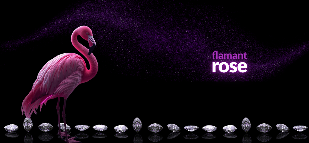 tsgabrielle® • Para Ela • Flamant Rose • regata muscle • preto